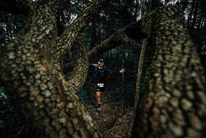 BIB: 
                            <button type="button" onclick="openModal(25692900)" class="btn btn-primary btn-sm float-right btn-popup" data-toggle="modal" data-target=".modal-high-quality">
                        <i class="fas fa-shopping-cart"></i> Add to Cart
                    </button>
                                            <button type="button" onclick="isThisMe(25692900, true)" class="btn btn-success btn-sm float-right btn-popup btn-isme hidden" data-toggle="tooltip" data-placement="bottom" title="นี่คือรูปของคุณใช่ไหม คลิกที่นี่เพื่อเอาเข้าอัลบั้ม">
                        <i class="fas fa-plus"></i> Add to album
                    </button>
                    <button type="button" onclick="isThisMe(25692900, false)" class="btn btn-warning btn-sm float-right btn-popup btn-isnotme hidden">
                        <i class="fas fa-ban"></i> Remove from album
                    </button>